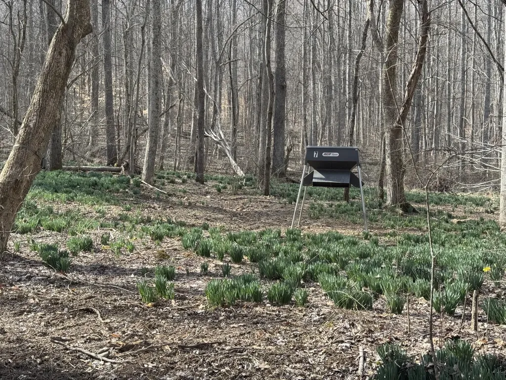 0 Hardwood Road Hillsboro KY 41049