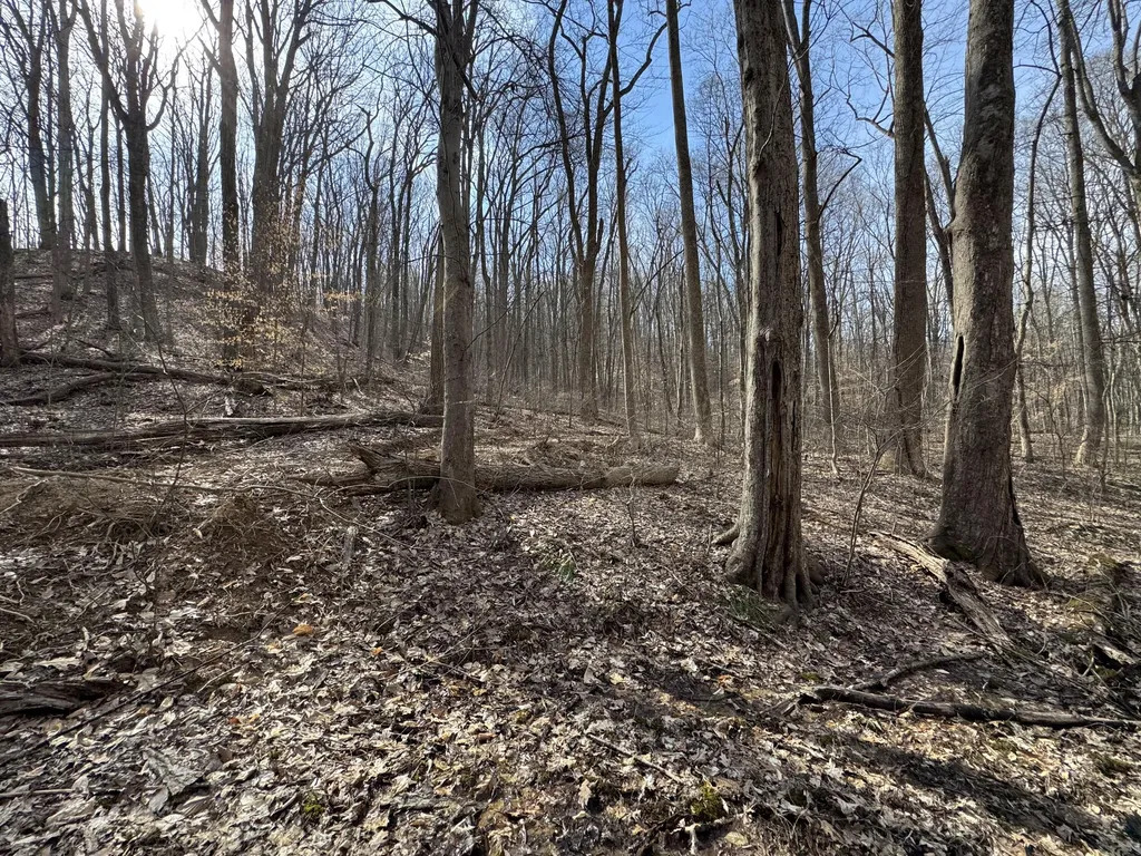 0 Hardwood Road Hillsboro KY 41049