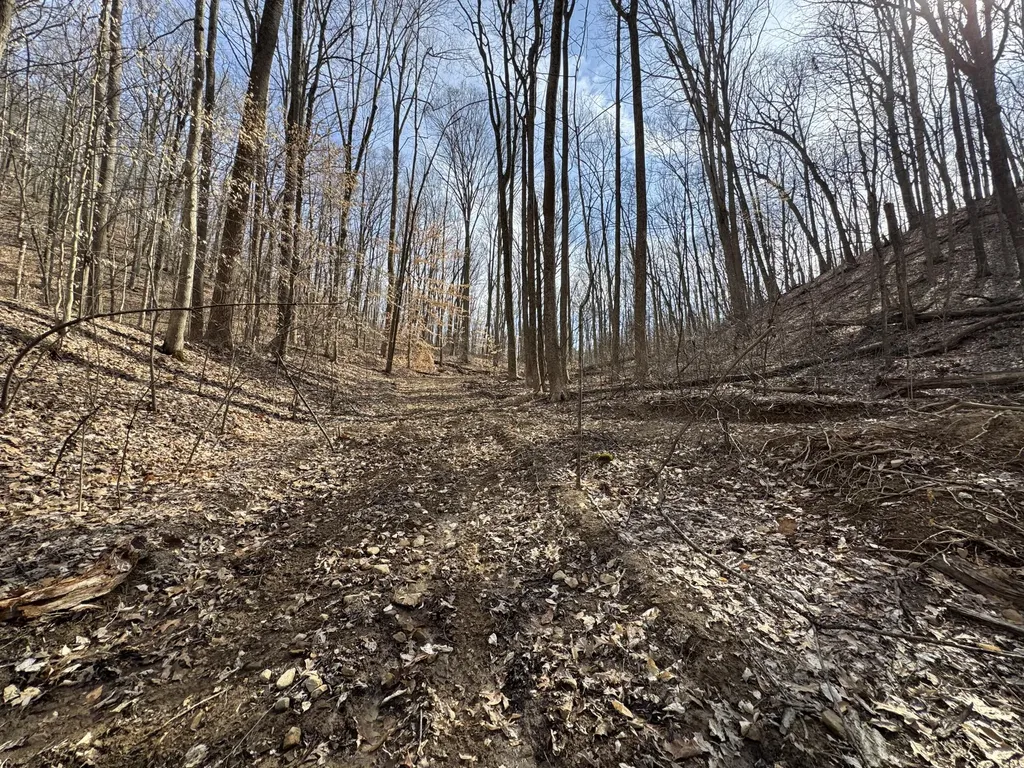 0 Hardwood Road Hillsboro KY 41049