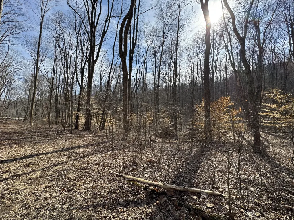0 Hardwood Road Hillsboro KY 41049