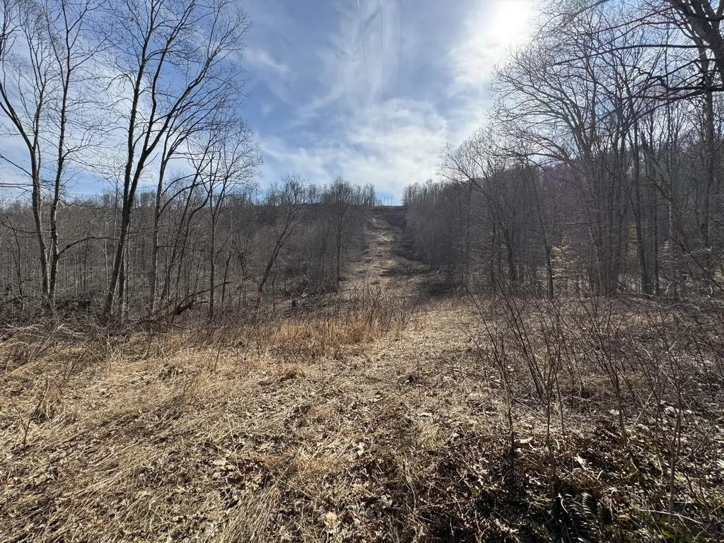 0 Hardwood Road Hillsboro KY 41049
