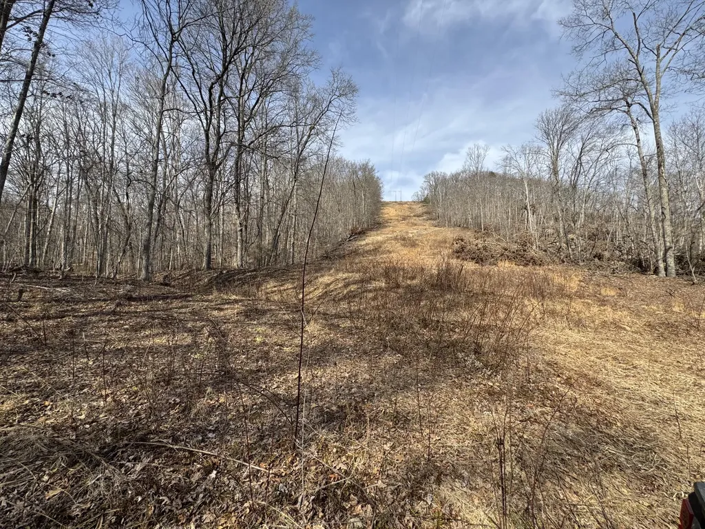 0 Hardwood Road Hillsboro KY 41049