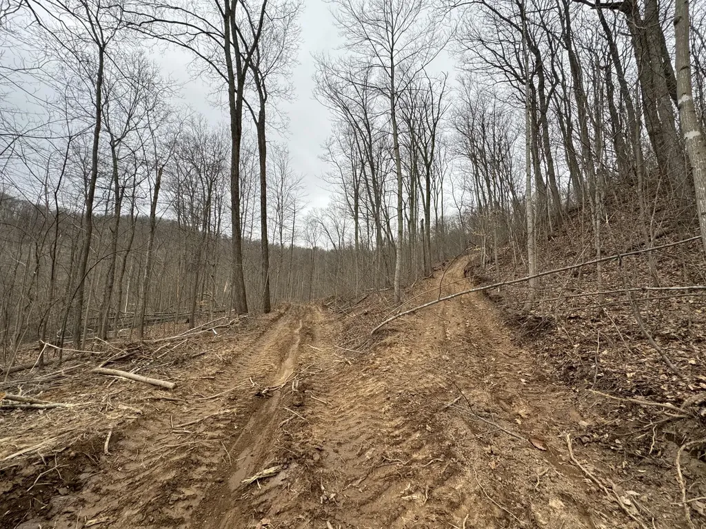 0 Hardwood Road Hillsboro KY 41049