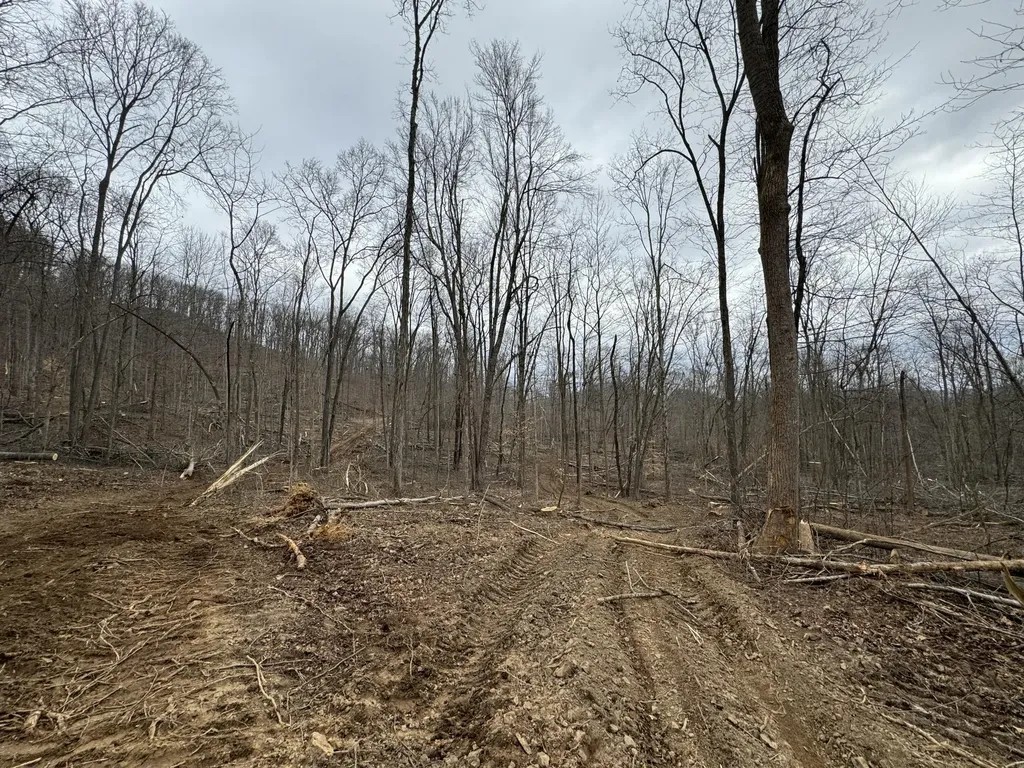 0 Hardwood Road Hillsboro KY 41049