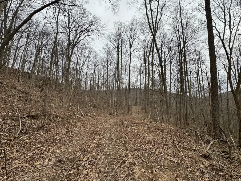 0 Hardwood Road Hillsboro KY 41049