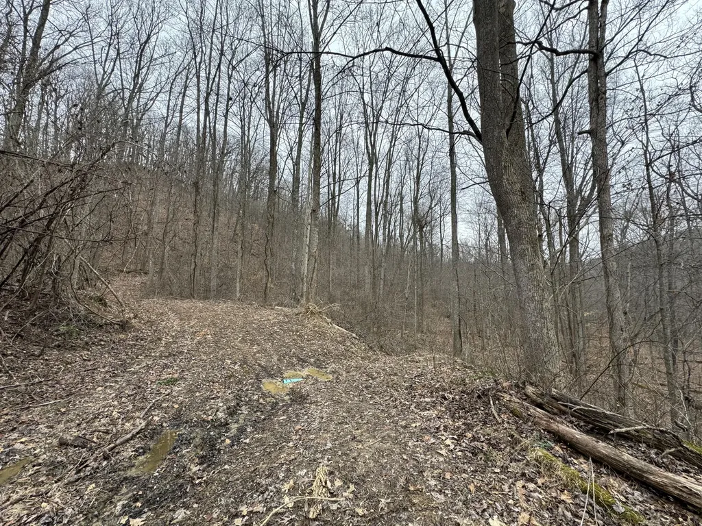 0 Hardwood Road Hillsboro KY 41049