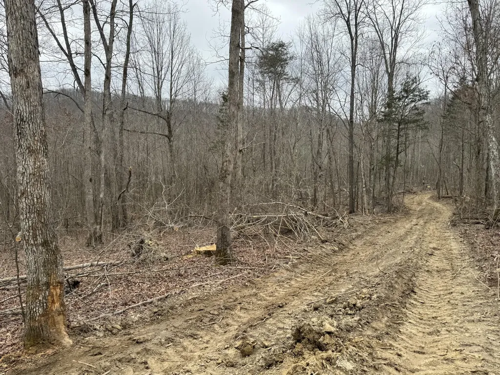 0 Hardwood Road Hillsboro KY 41049