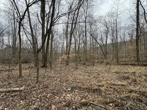 0 Hardwood Road Hillsboro KY 41049