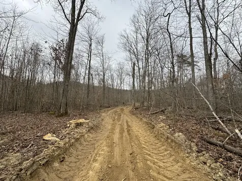0 Hardwood Road Hillsboro KY 41049