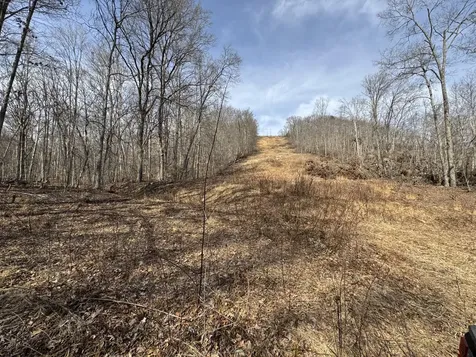 0 Hardwood Road Hillsboro KY 41049