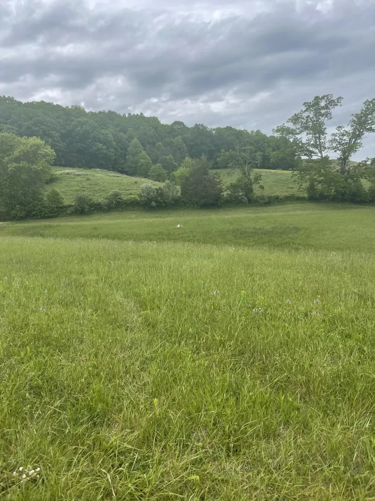 9999 Shiner Hill Phase Ii Lot #35 Williamsburg KY 40769