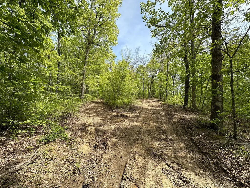 1B Riverside Benleo Road Bowling Green KY 42101