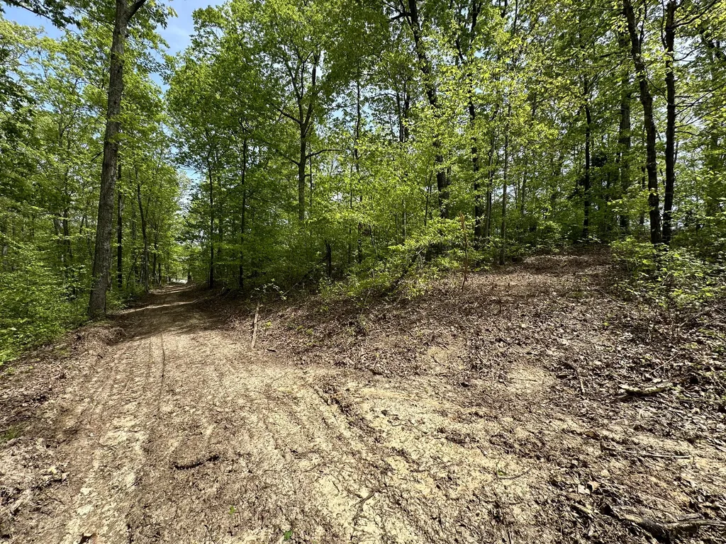 1B Riverside Benleo Road Bowling Green KY 42101