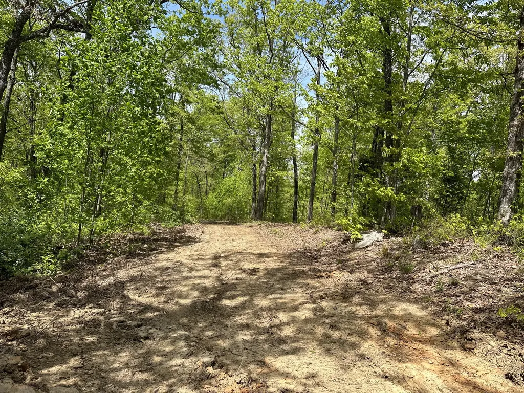 1B Riverside Benleo Road Bowling Green KY 42101