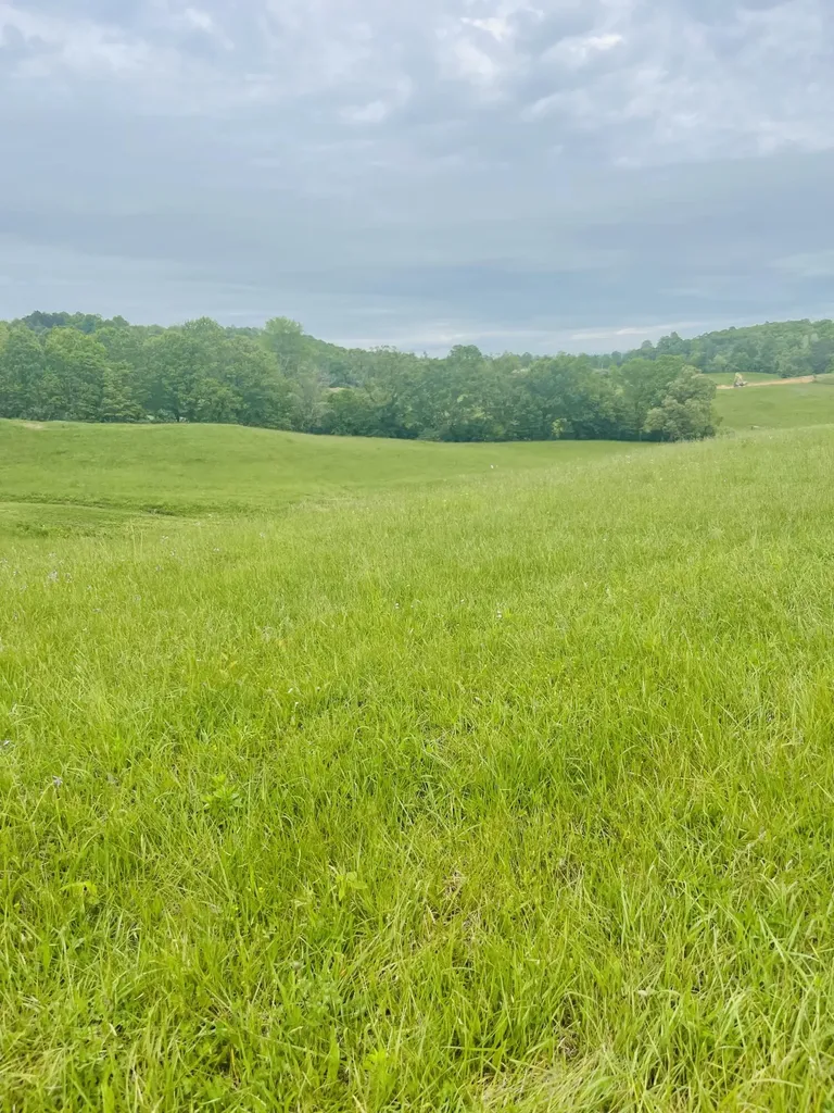 9999 Shiner Hill Phase Ii Lot #32 Williamsburg KY 40769