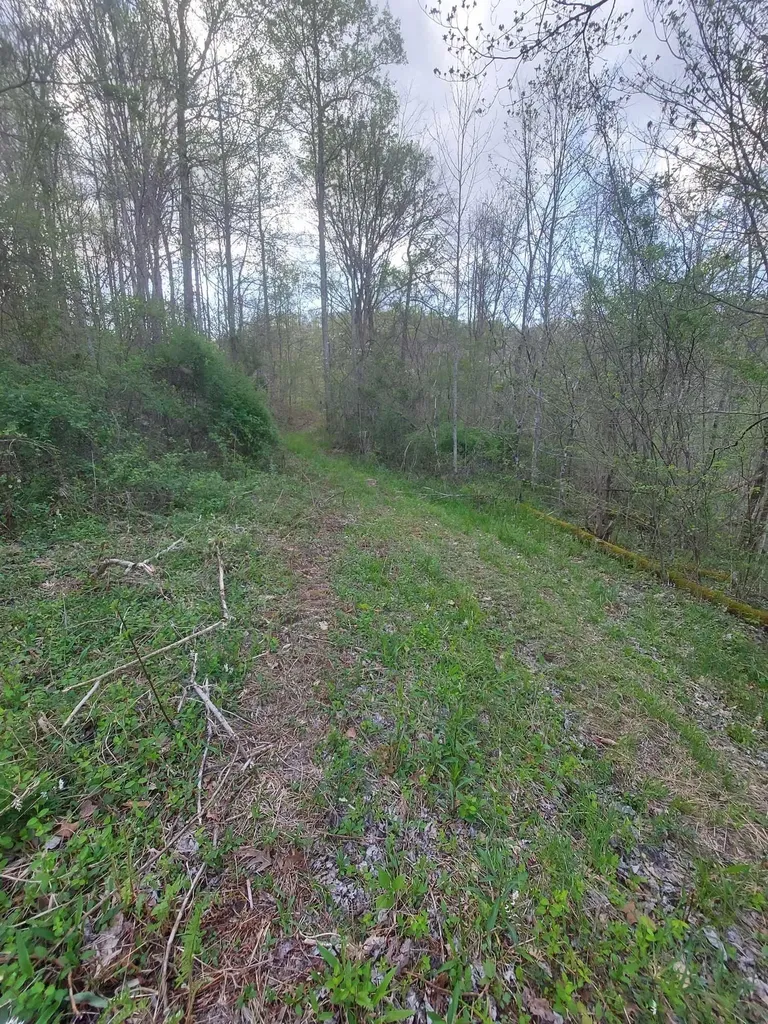 0 Herd Road Mckee KY 40447