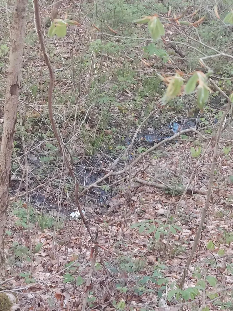 0 Herd Road Mckee KY 40447