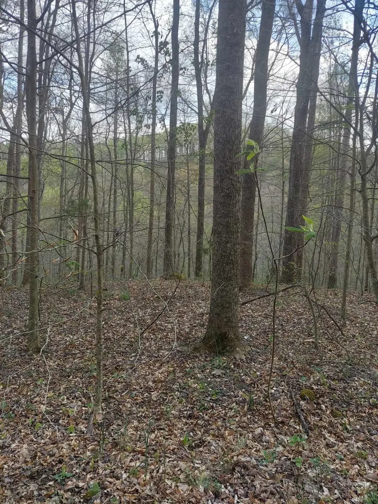 0 Herd Road Mckee KY 40447