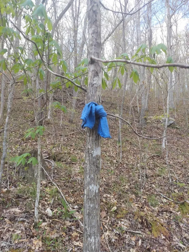 0 Herd Road Mckee KY 40447