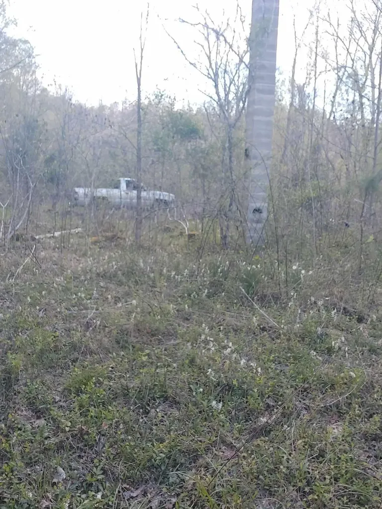 0 Herd Road Mckee KY 40447