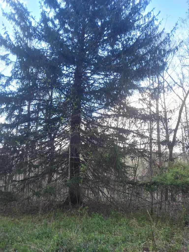 0 Herd Road Mckee KY 40447