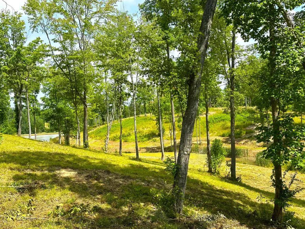 Lot 105 Lakewood Corbin KY 40701