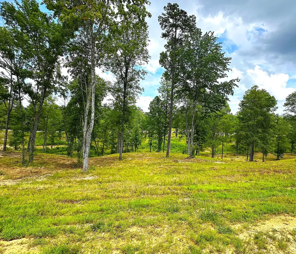 Lot 105 Lakewood Corbin KY 40701