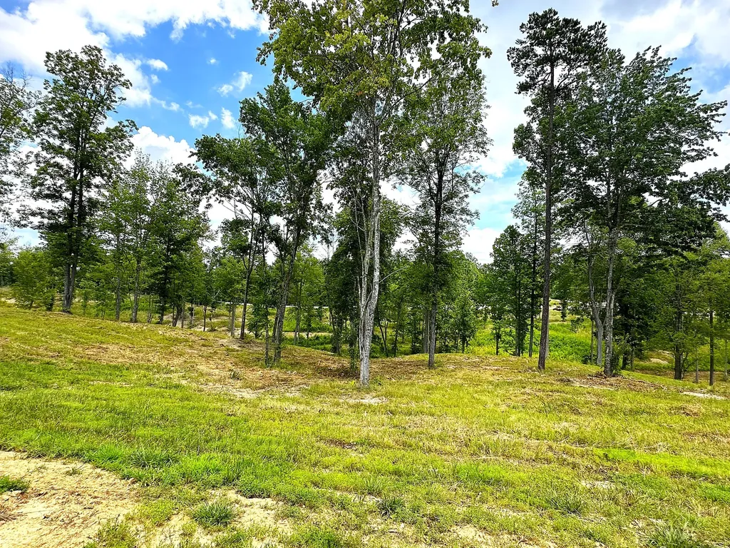 Lot 105 Lakewood Corbin KY 40701