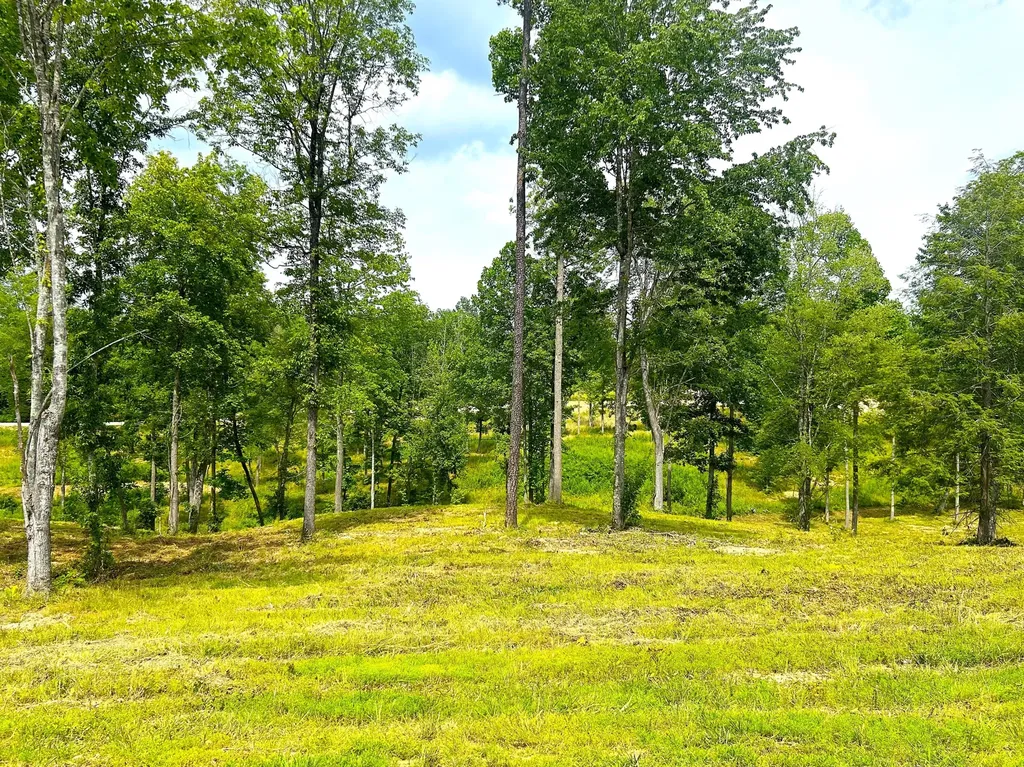 Lot 105 Lakewood Corbin KY 40701