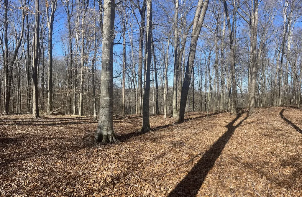 Lots 84-86 Meadows Loop Russell Springs KY 42642