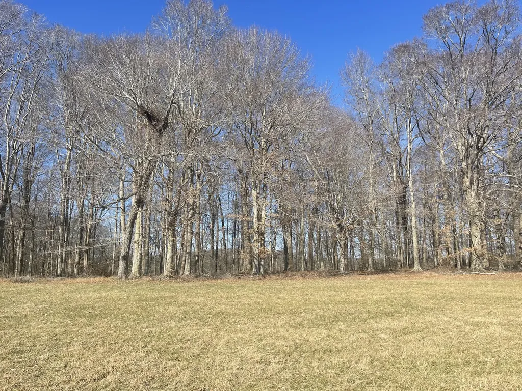 Lots 84-86 Meadows Loop Russell Springs KY 42642