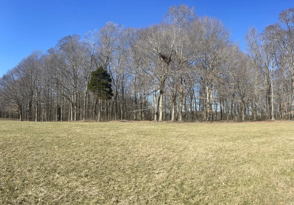 Lots 84-86 Meadows Loop Russell Springs KY 42642