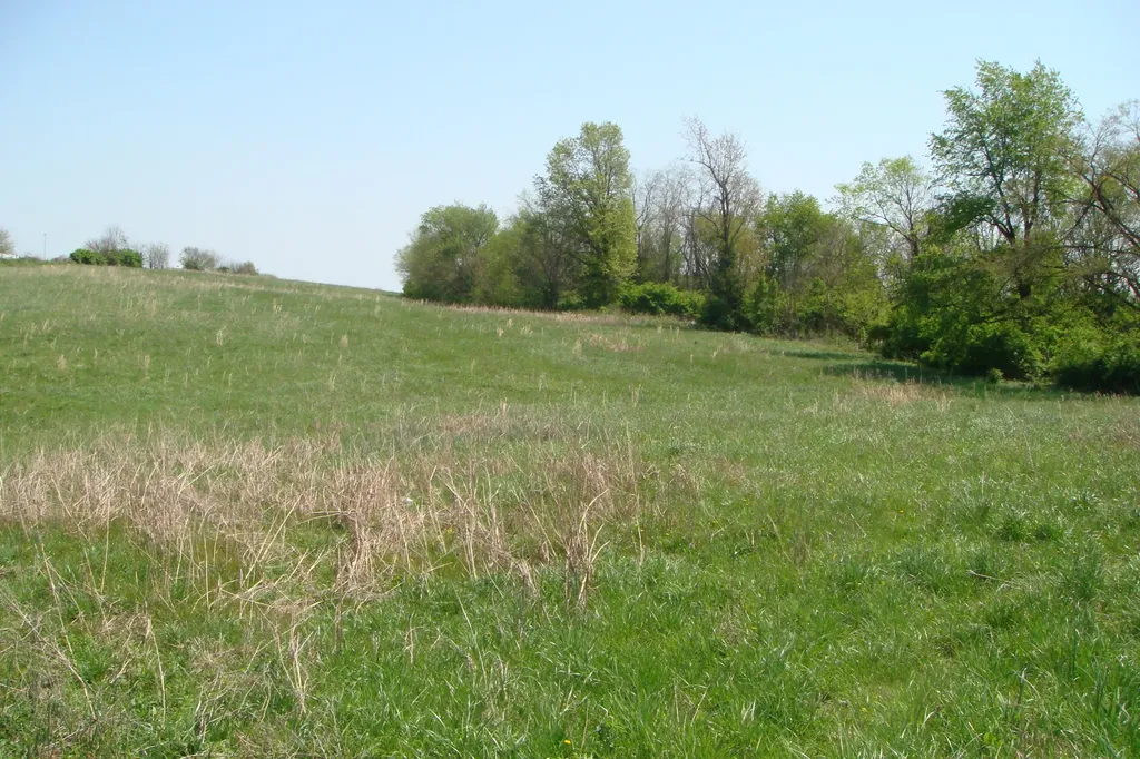 3054A Owingsville Road Mt Sterling KY 40353