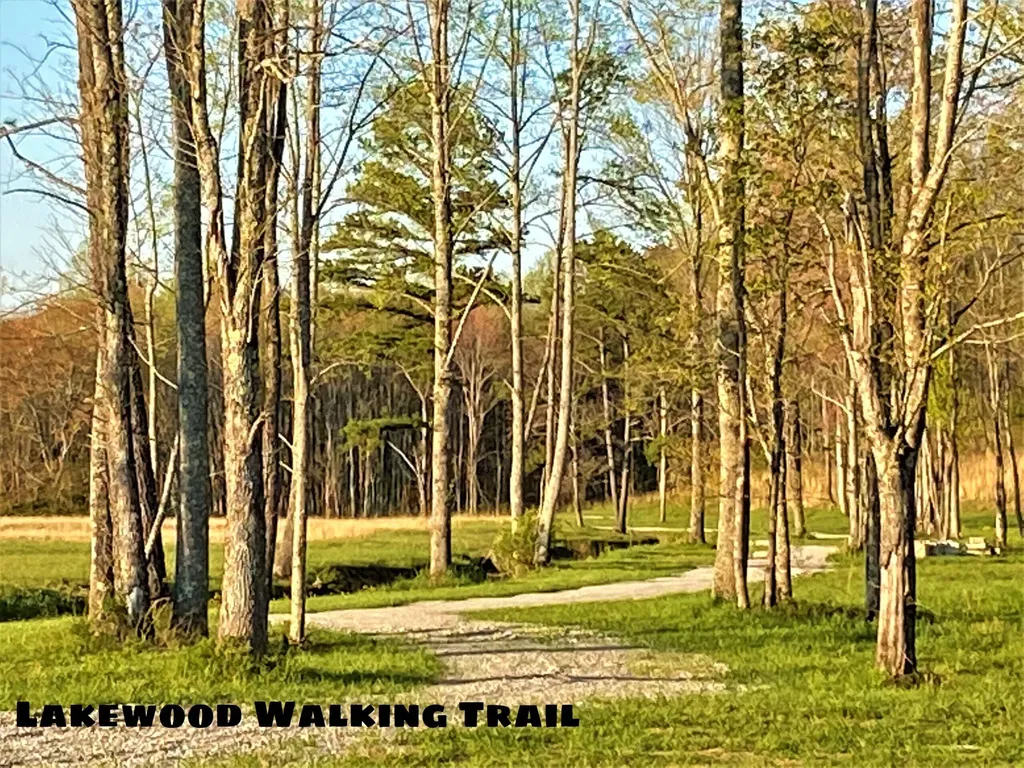 Lot 63 Lakewood Subdivision Corbin KY 40701
