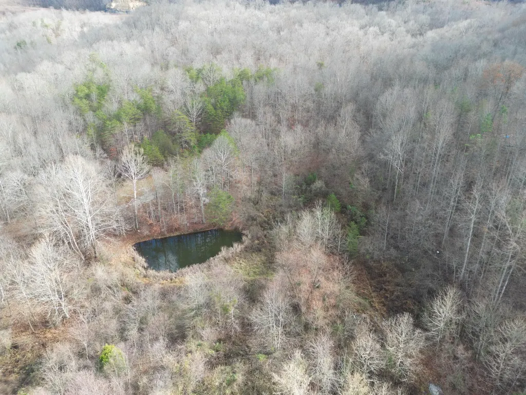 7568 Highway 26 Rockholds KY 40759