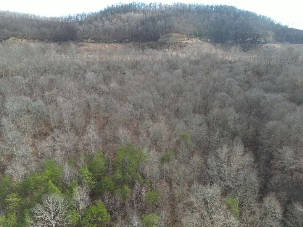 7568 Highway 26 Rockholds KY 40759