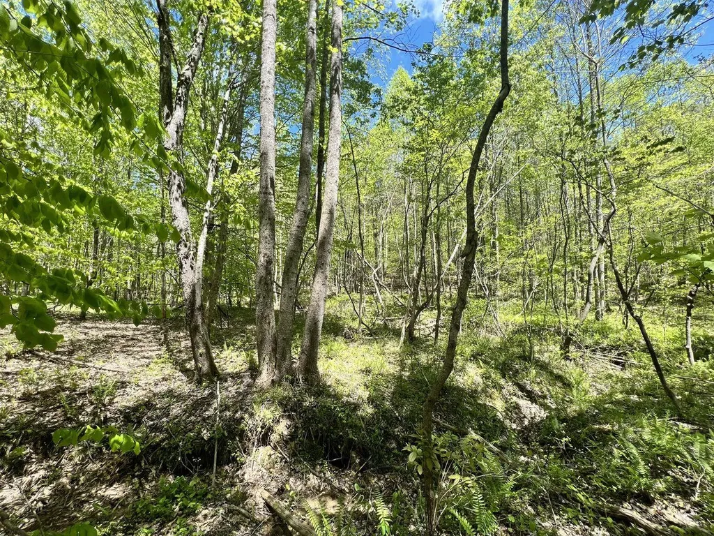 9999 Proffitt Road Manchester KY 40962