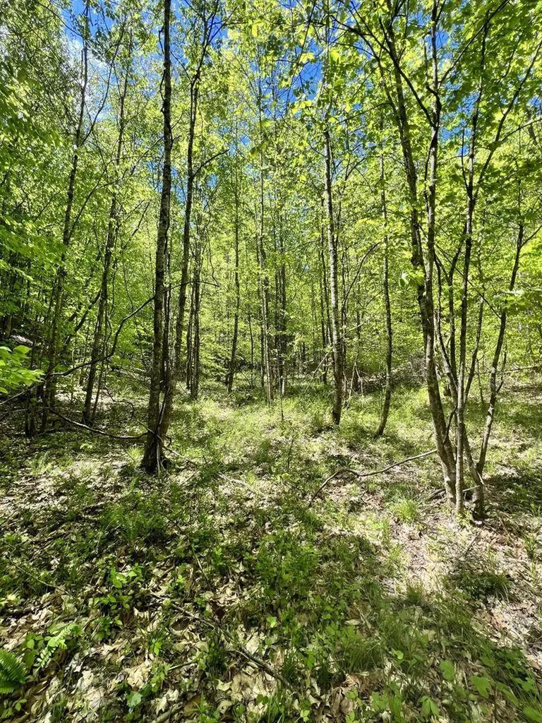9999 Proffitt Road Manchester KY 40962