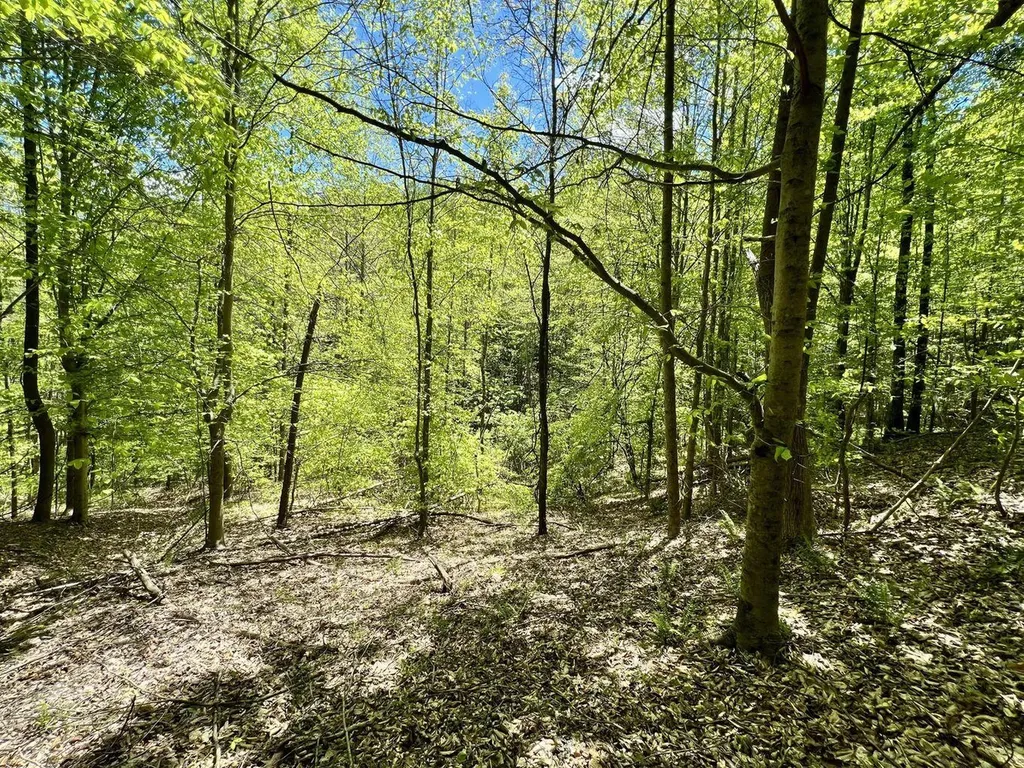 9999 Proffitt Road Manchester KY 40962