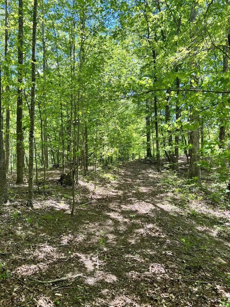 9999 Proffitt Road Manchester KY 40962