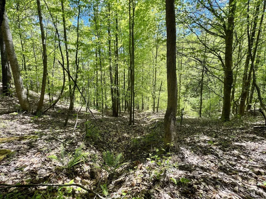 9999 Proffitt Road Manchester KY 40962