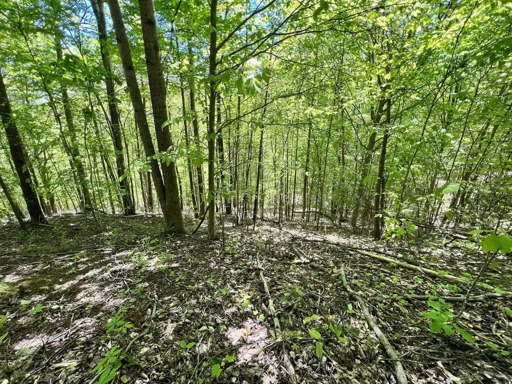 9999 Proffitt Road Manchester KY 40962