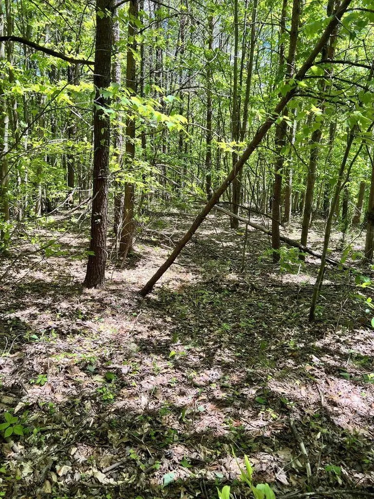9999 Proffitt Road Manchester KY 40962
