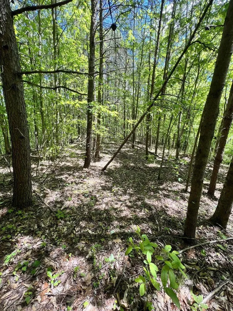 9999 Proffitt Road Manchester KY 40962
