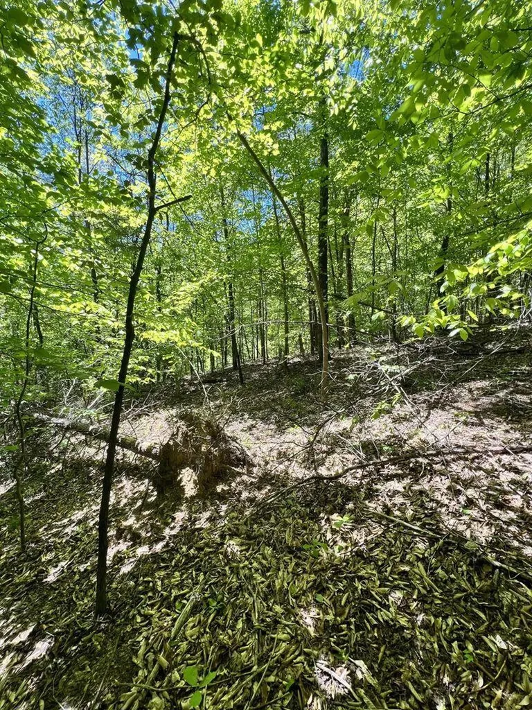 9999 Proffitt Road Manchester KY 40962