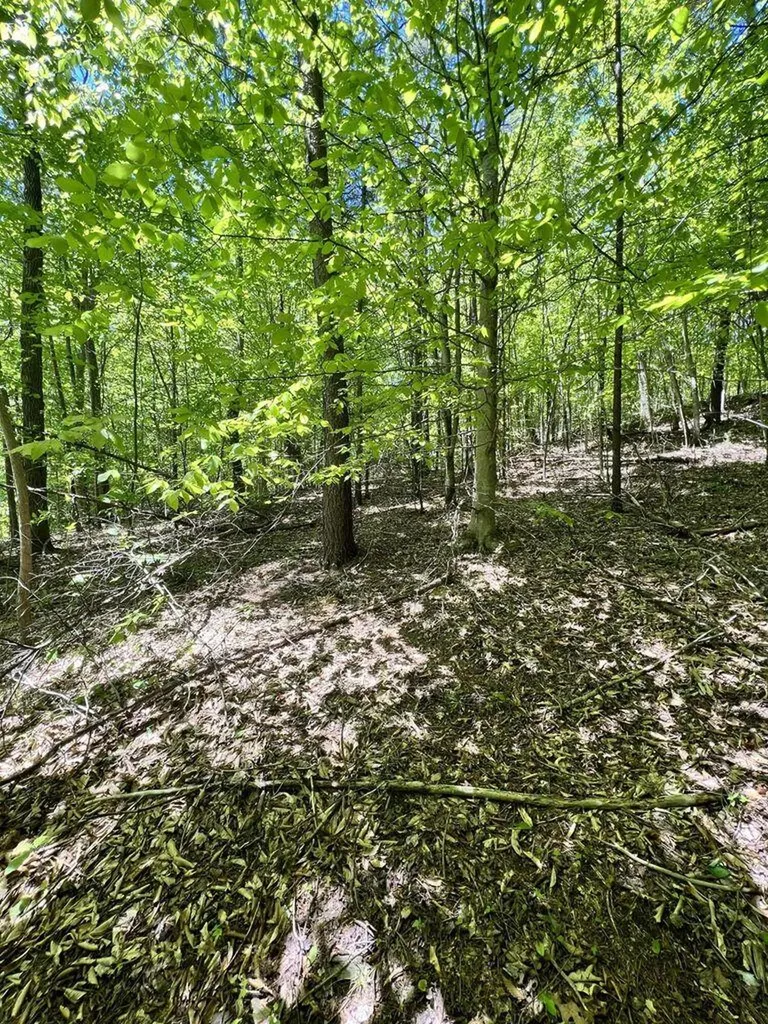 9999 Proffitt Road Manchester KY 40962