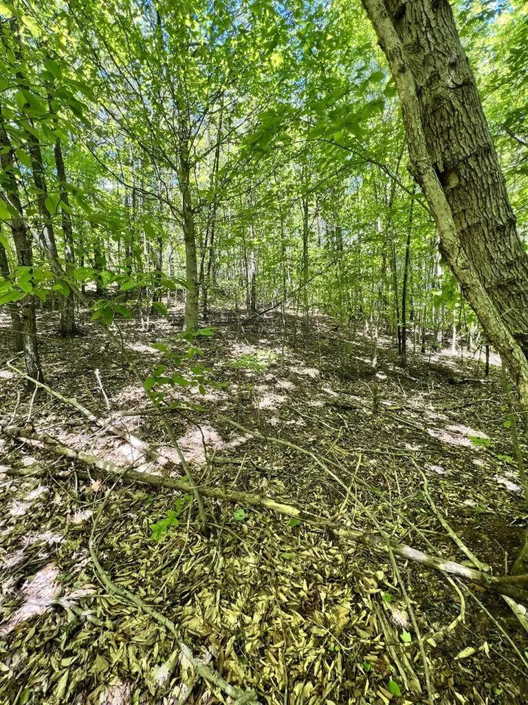 9999 Proffitt Road Manchester KY 40962