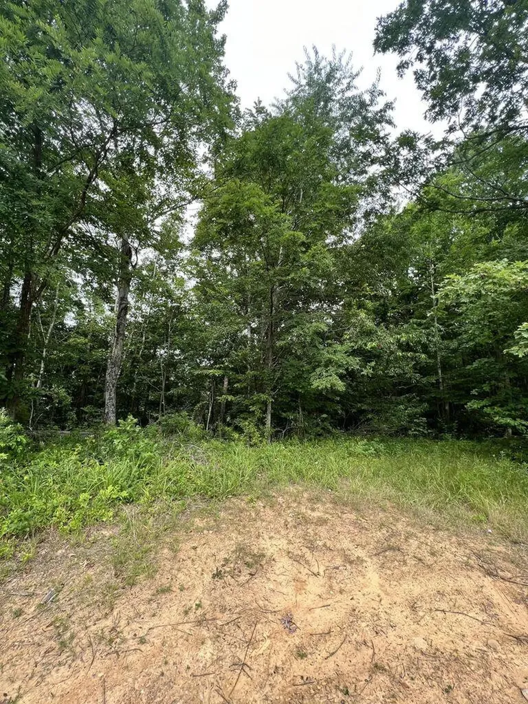 9999 Proffitt Road Manchester KY 40962