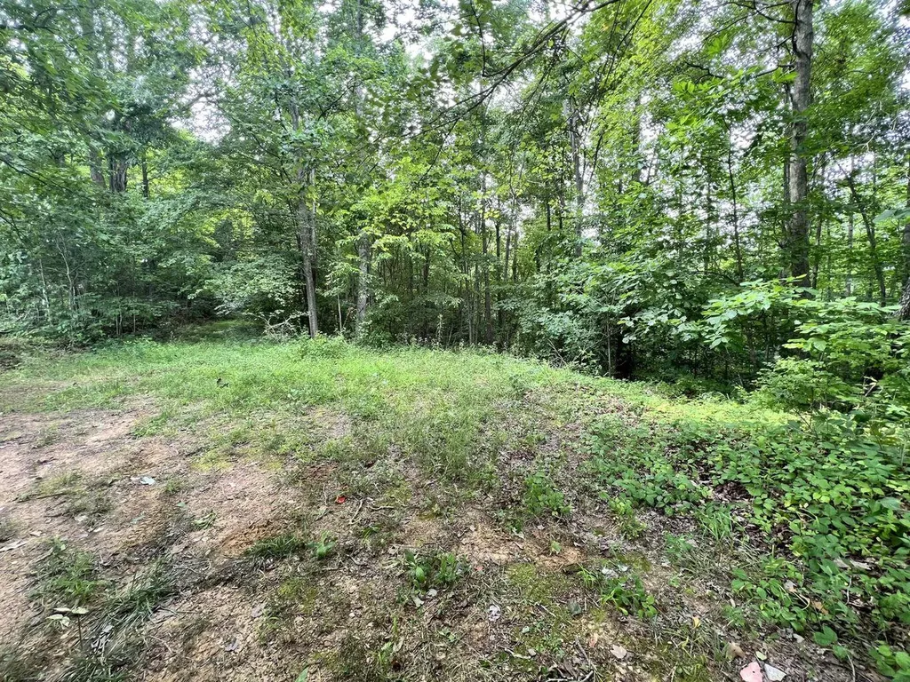 9999 Proffitt Road Manchester KY 40962