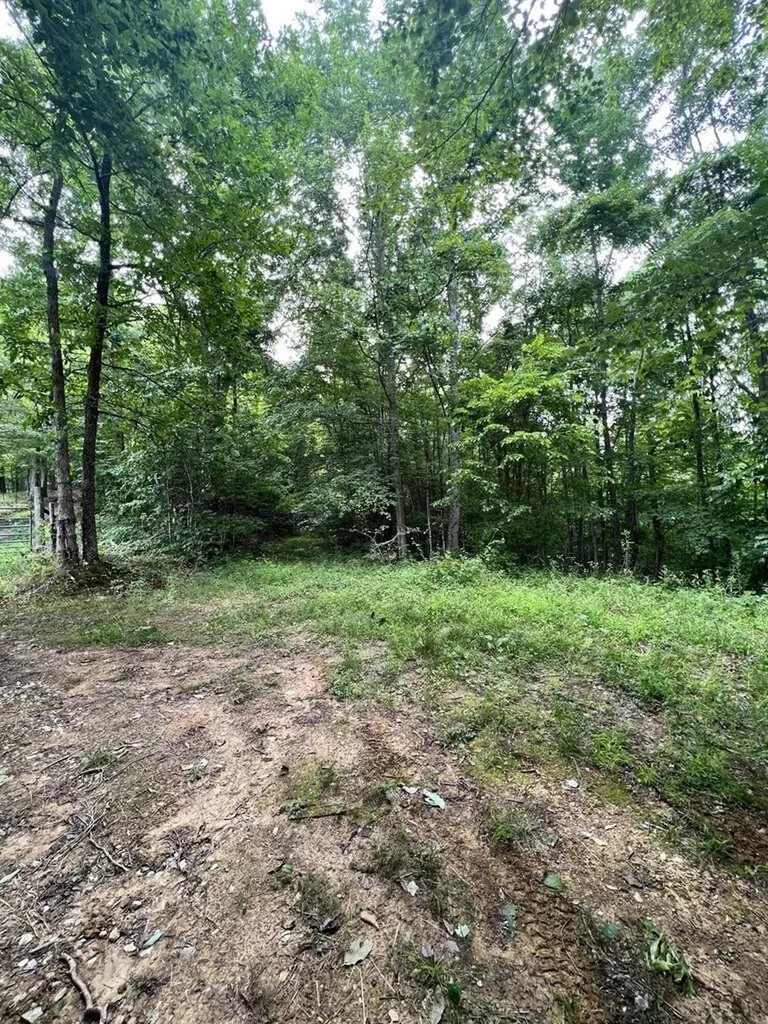 9999 Proffitt Road Manchester KY 40962